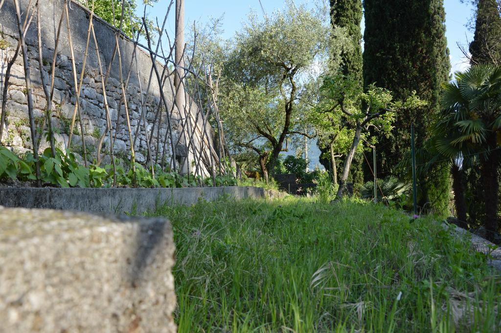 Arco Climbing Villa Luaran gambar