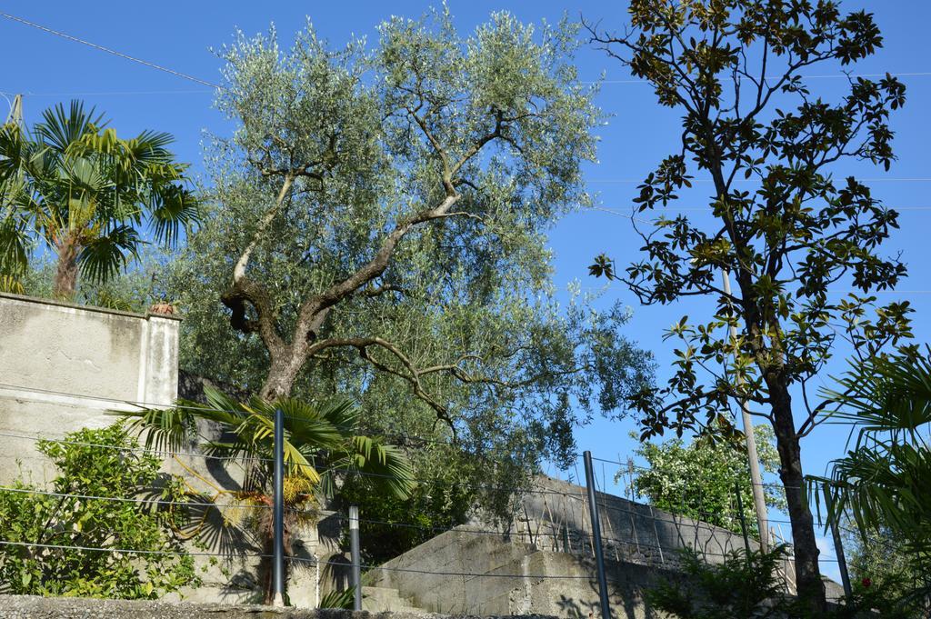 Arco Climbing Villa Luaran gambar